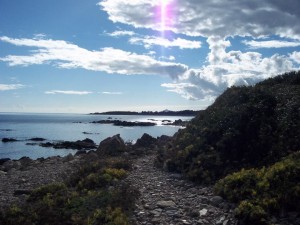 Sweet Sardinia